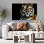 Tableau déco tigre couleur