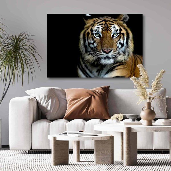Tableau déco tigre couleur