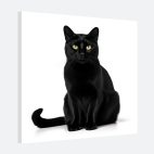 Tableau déco chat noir
