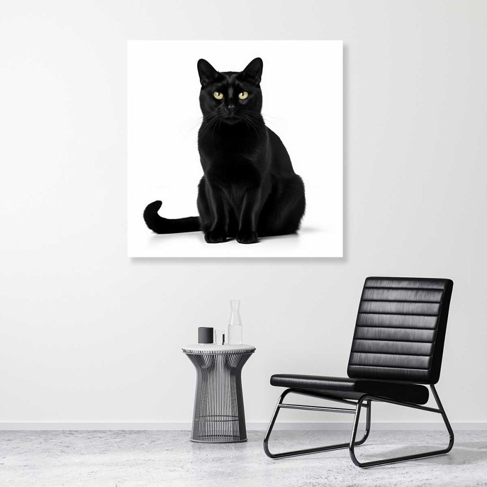 Décoration murale chat noir