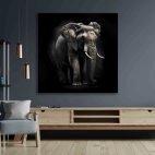 Decoration murale elephant