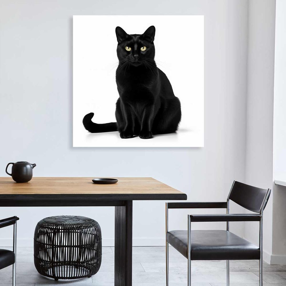 Tableau déco chat noir