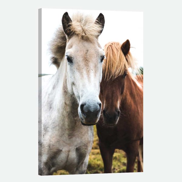 Tableau déco cheval Tableau déco cheval