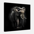 Tableau déco éléphant fond noir