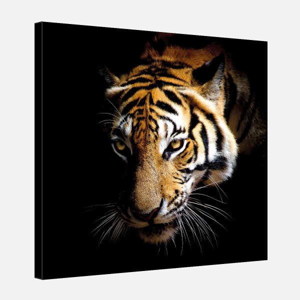 Tableau décoration murale tigre Tableau décoration murale tigre