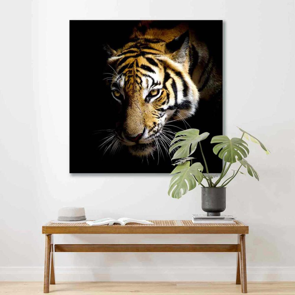 Tableau tigre décoration murale Tableau tigre décoration murale