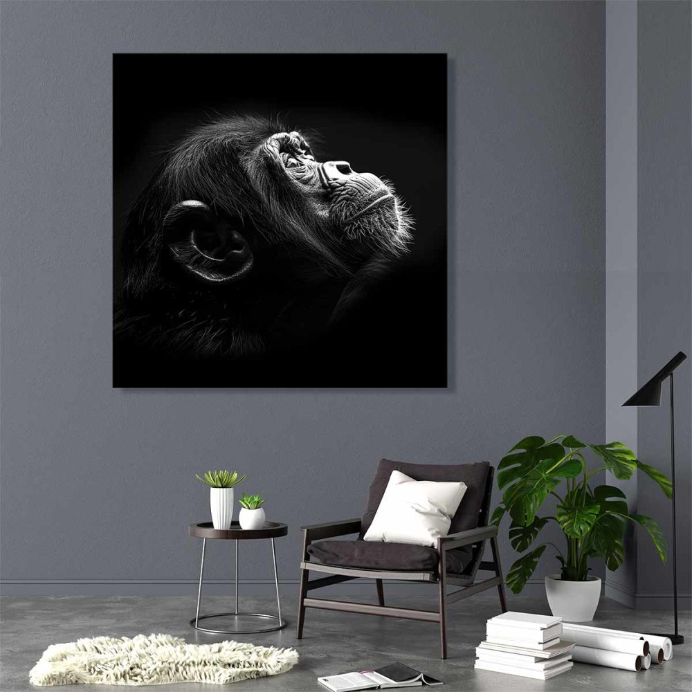 Cadre mural singe