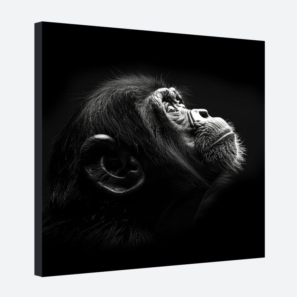 tableau deco singe