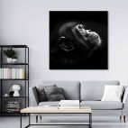 Tableau mural singe