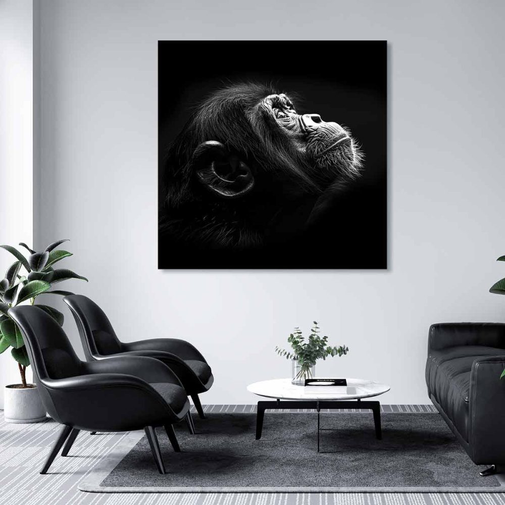 Toile déco singe