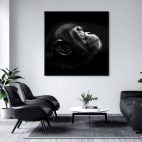 Toile déco singe