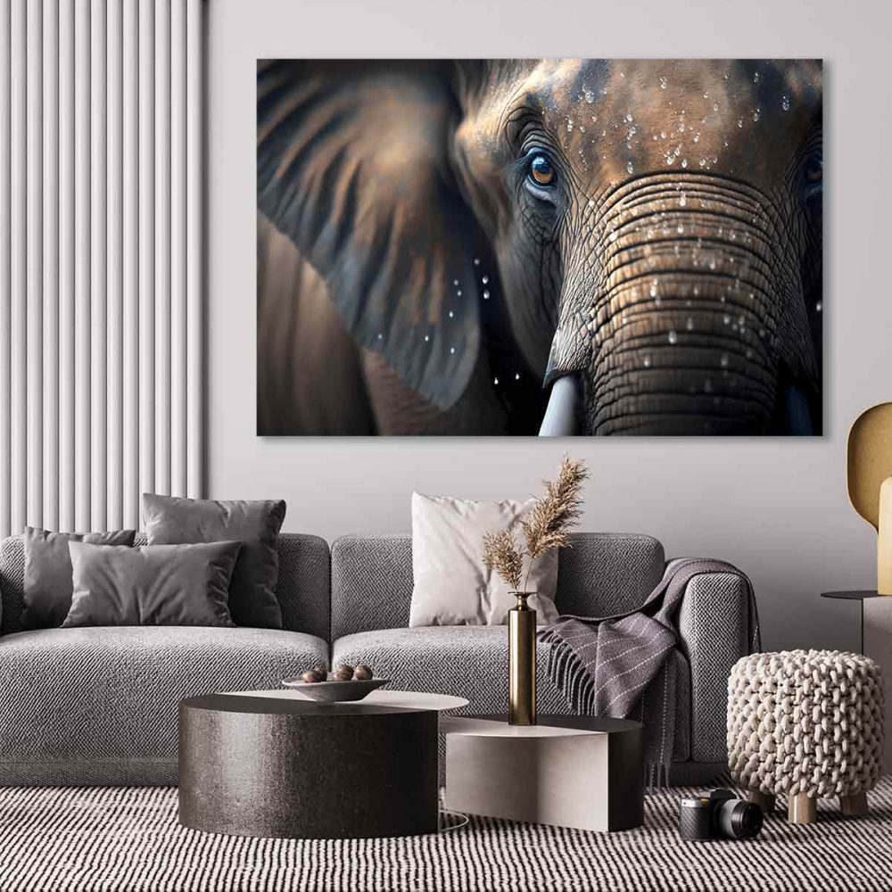 Cadre éléphant afrique
