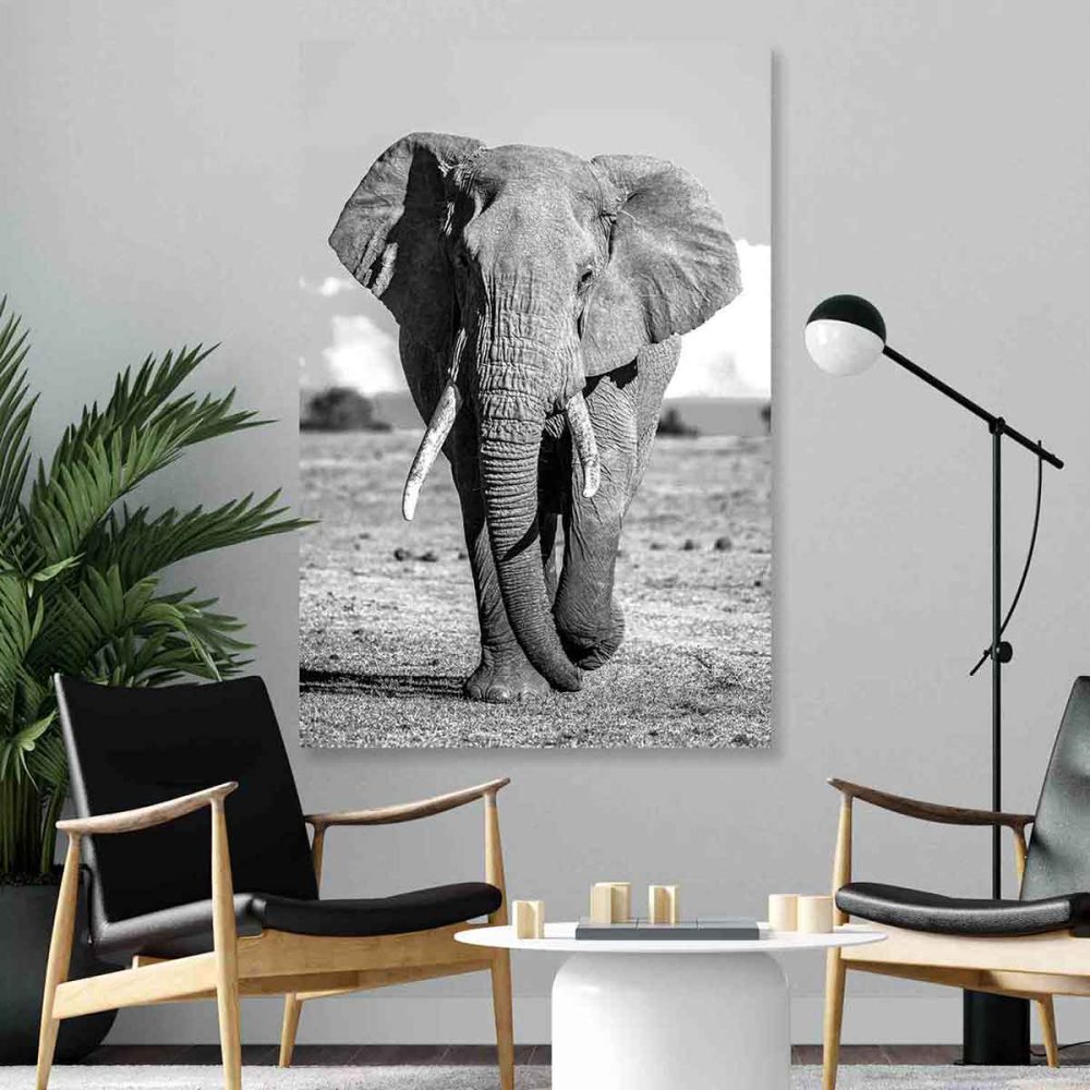 Décoration éléphant noir et blanc