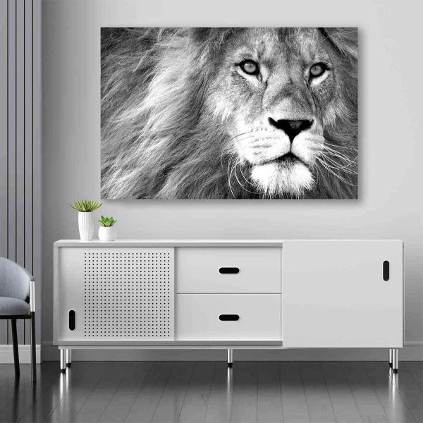 Décoration murale lion
