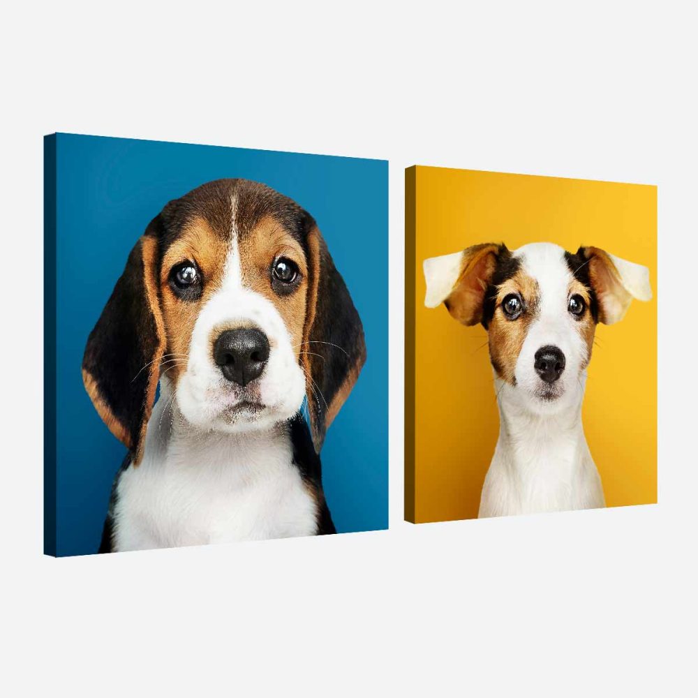 Tableau chien beagle jack russell Tableau chien beagle jack russell