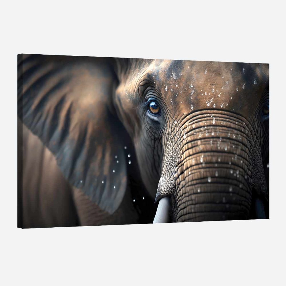 Tableau déco éléphant