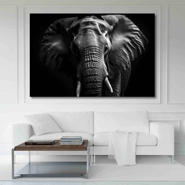 Tableau déco éléphant noir et blanc