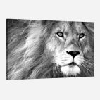 Tableau lion noir et blanc