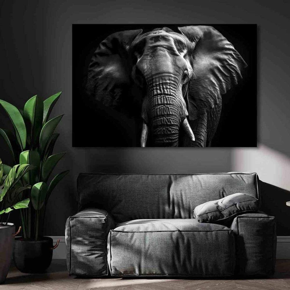 Cadre éléphant noir et blanc Cadre éléphant noir et blanc