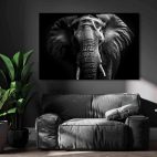 Cadre éléphant noir et blanc