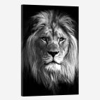 Tableau mural lion noir et blanc