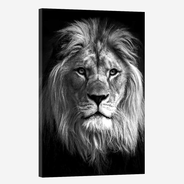 Tableau mural lion noir et blanc Tableau mural lion noir et blanc