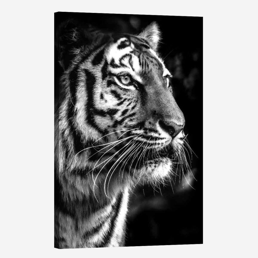 Tableau mural tigre noir et blanc