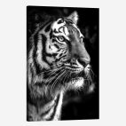 Tableau mural tigre noir et blanc