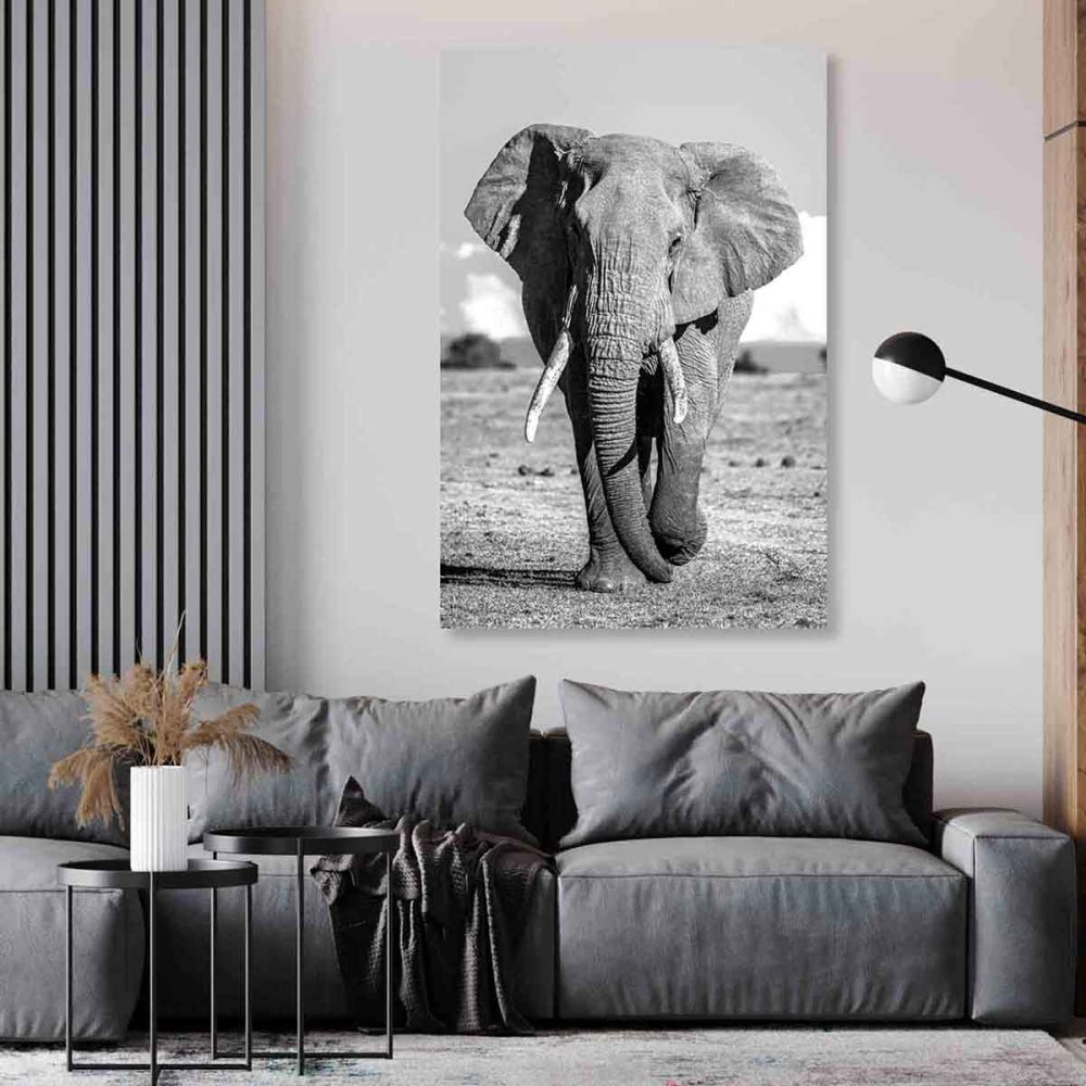 Toile éléphant noir et blanc