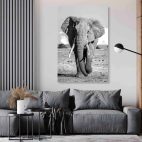 Toile éléphant noir et blanc