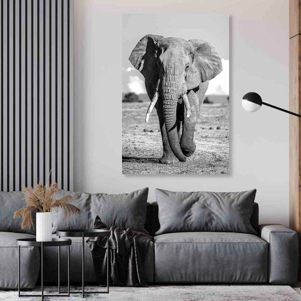 Toile éléphant noir et blanc