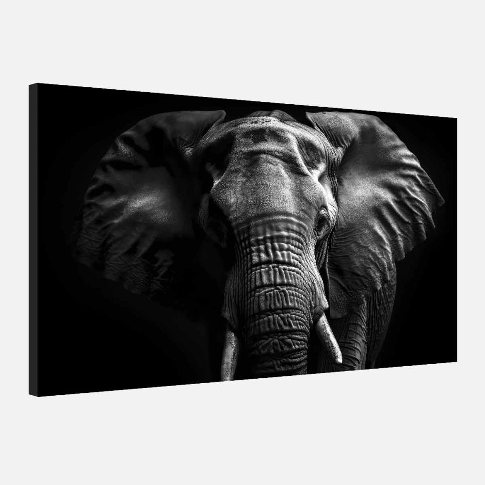 Toile éléphant noir et blanc Toile éléphant noir et blanc