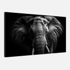Toile éléphant noir et blanc