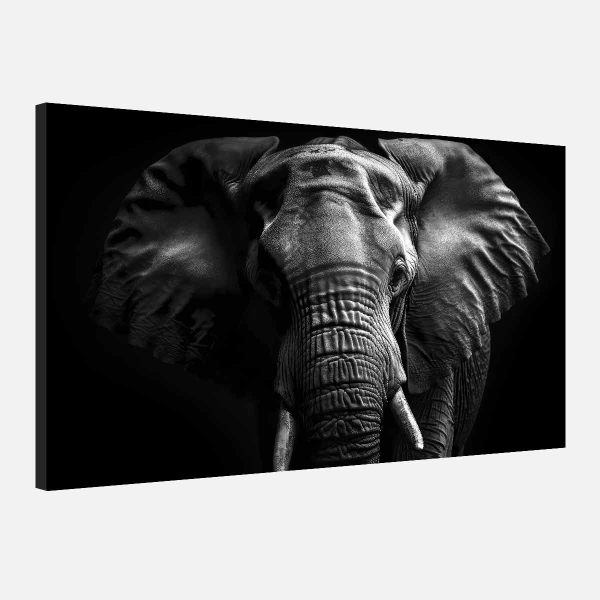 Toile éléphant noir et blanc Toile éléphant noir et blanc
