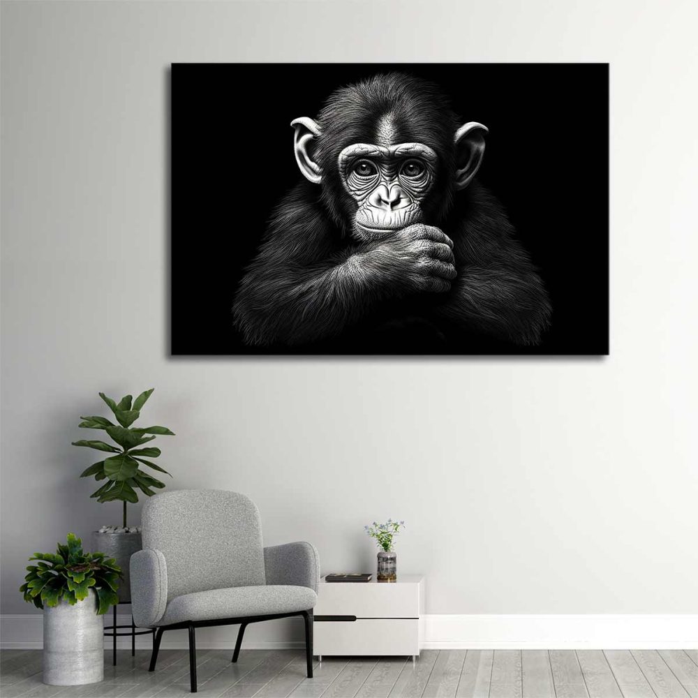 Cadre singe noir et blanc Cadre singe noir et blanc
