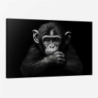 Tableau singe noir et blanc