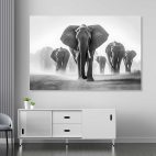 Tableau mural éléphant