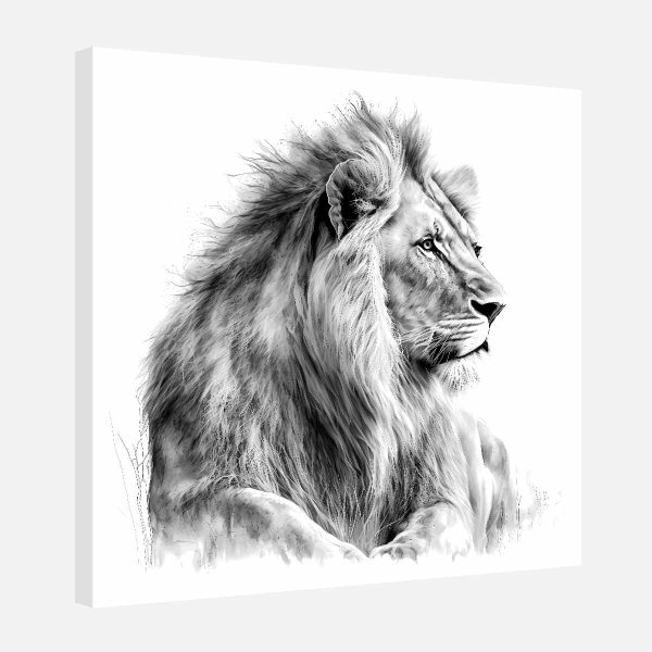 Toile lion Toile lion