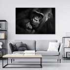 Toile singe