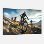 Tableau vélo-VTT