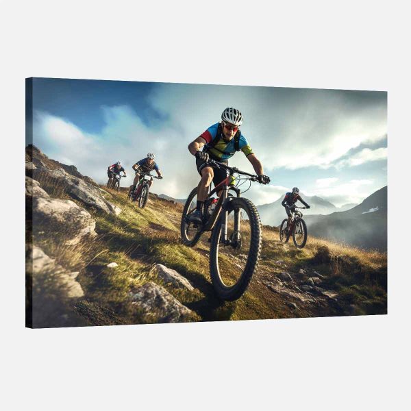 Tableau vélo-VTT