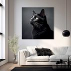 Cadre chat noir
