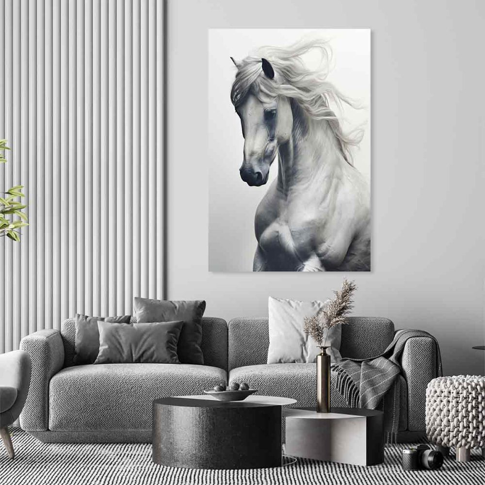 Cadre cheval blanc