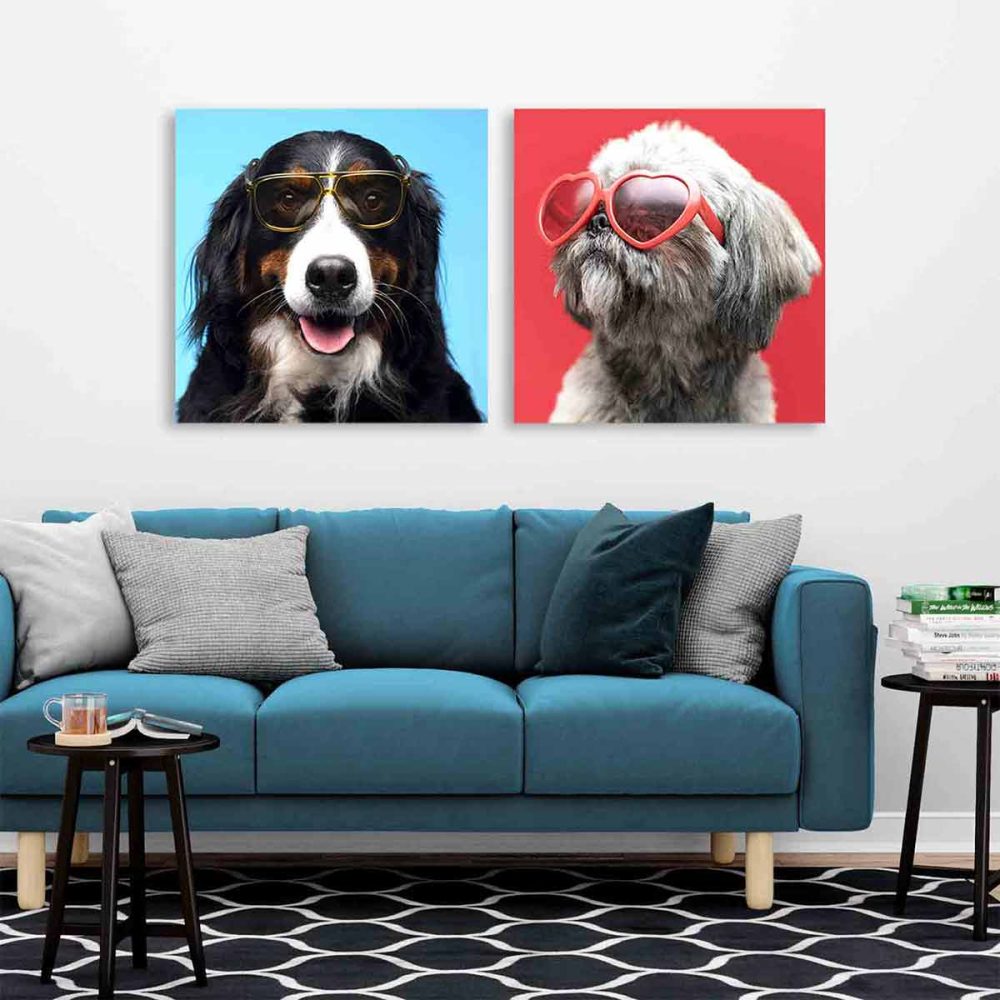 Cadre chien