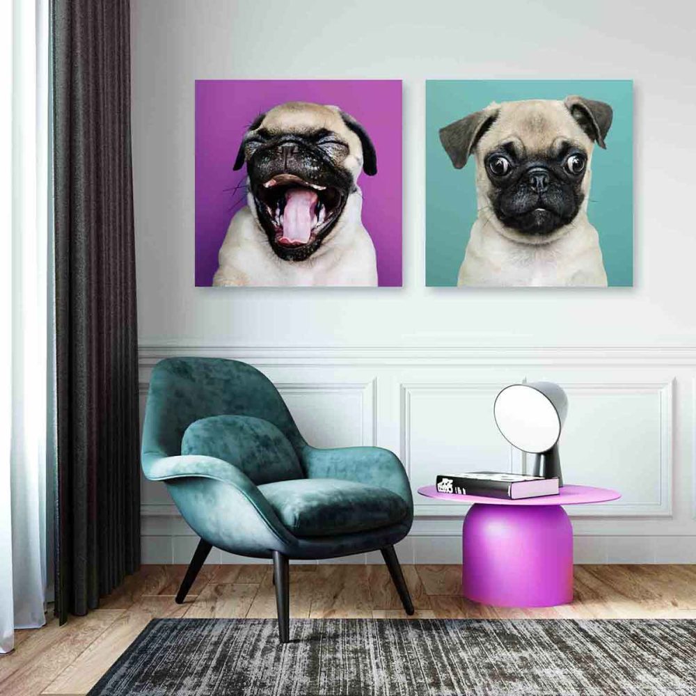 Cadre chien Carlin Cadre chien Carlin