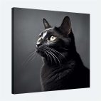 Tableau chat noir