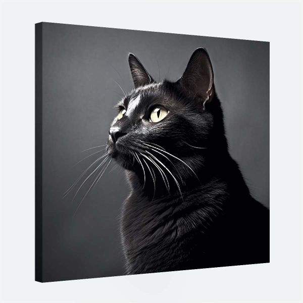 Tableau chat noir