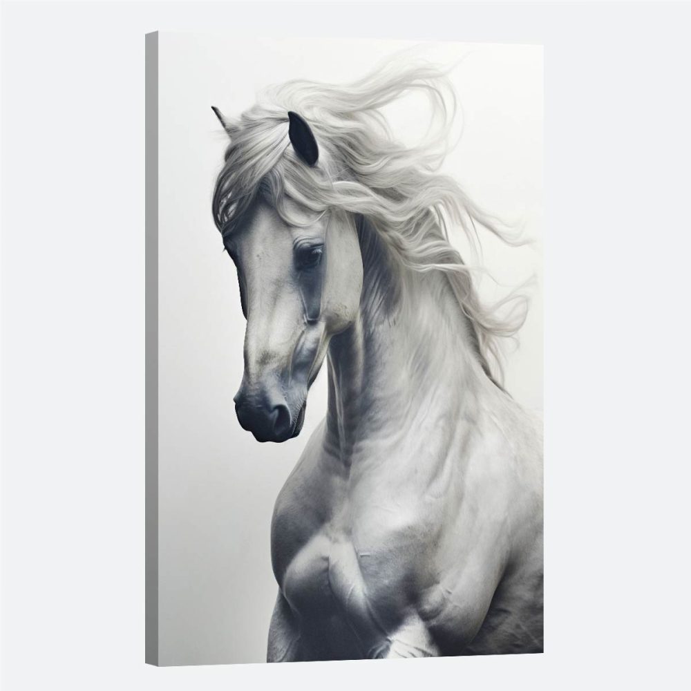 Tableau cheval blanc