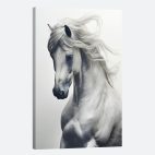 Tableau cheval blanc
