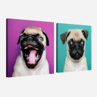 Tableau chien Carlin salon